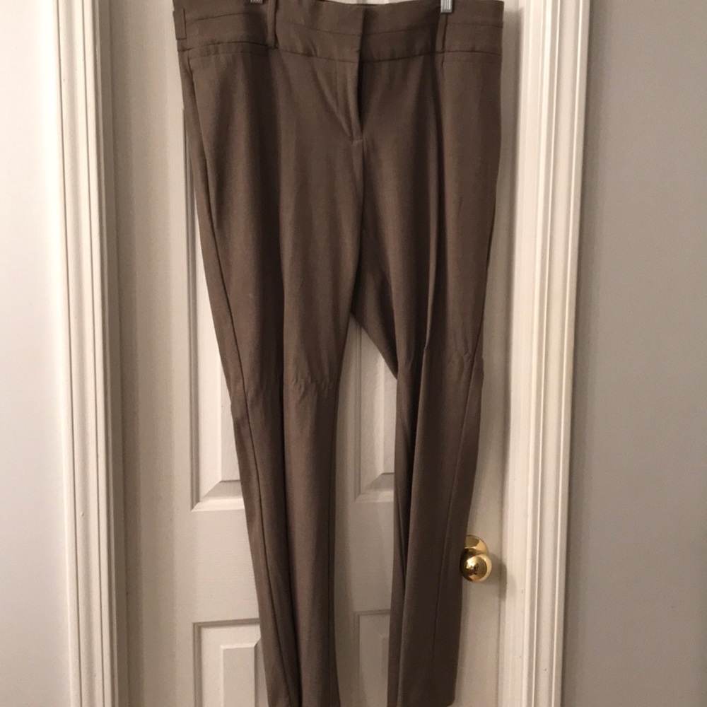 Dress Slacks - Maurices